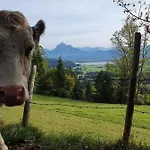 Alpenblick 10, Bergblick Pur Im Allgaeu * הלבלך