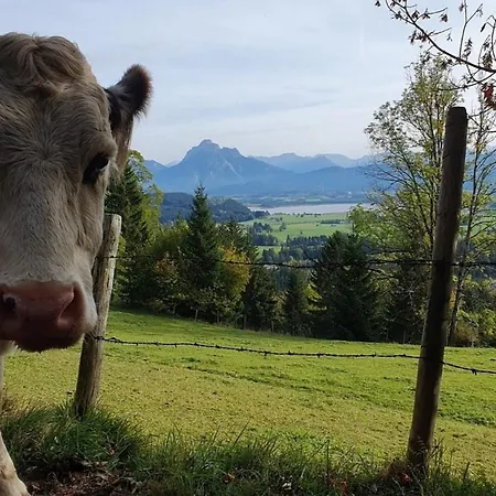Alpenblick 10, Bergblick Pur Im Allgaeu * Halblech