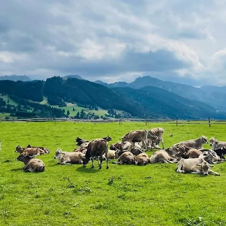 Alpenblick 10, Bergblick Pur Im Allgaeu *